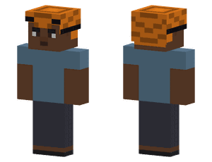 A pixel skin wearing an orange turban with a dark under-band at the forehead, with a T-shirt and trousers.