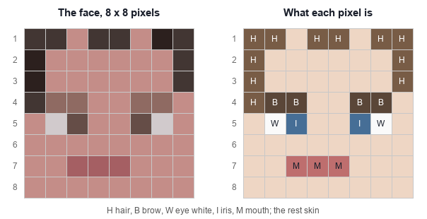 A face from a real scan enlarged to 8 by 8 squares, beside a map that marks each pixel: hair along the top and sides, brows on row 4, an eye white and an iris on each side of row 5, and the mouth on row 7.